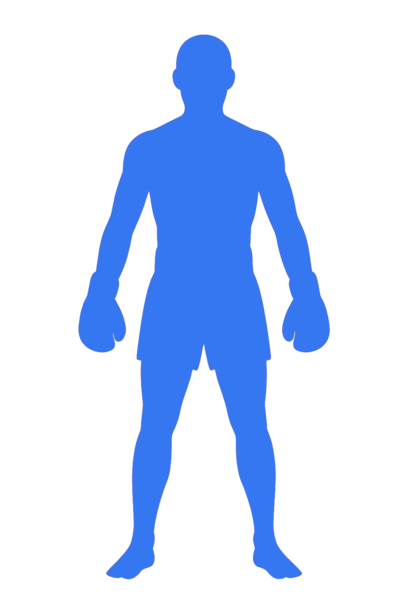 fighter silhouette